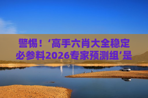 高手六肖大全稳定必参料2026专家预测组