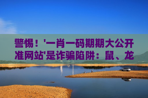 一肖一码期期大公开准网站 赌博骗局警示