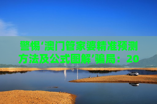 澳门管家婆精准预测方法及公式图解