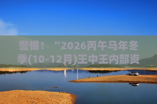 2026丙午马年冬季(10-12月)王中王内部资料汇总