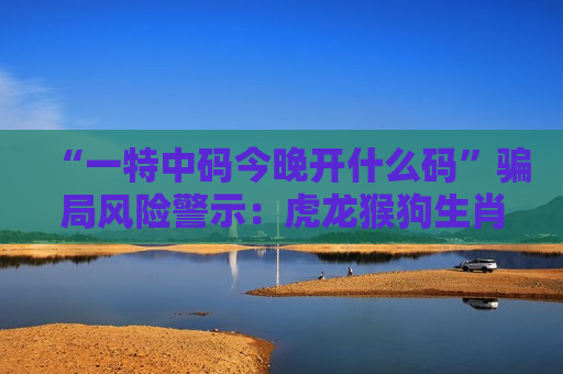 一特中码今晚开什么码 防骗指南