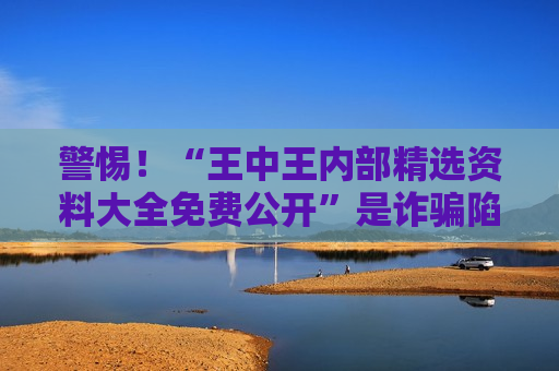 王中王内部精选资料大全免费公开