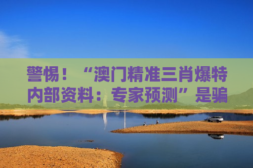 澳门精准三肖爆特内部资料：专家预测