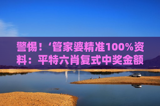 管家婆精准100%资料：平特六肖复式中奖金额对照