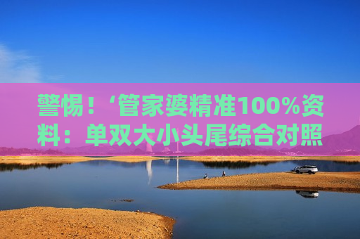 管家婆精准100%资料：单双大小头尾综合对照表
