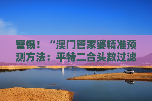 澳门管家婆精准预测方法：平特二合头数过滤模型