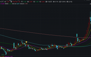 华嵘控股濒临退市边缘 “保壳”已迫在眉睫 谋划易主停牌前夕股价涨停